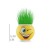 Çim Adam Saksı Emoji Figürlü 1 Adet