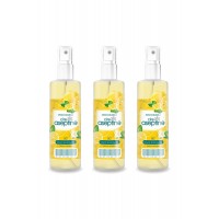 3 Adet Limon Kolonyası  Ev Ofis Pratik Kullanım Sprey 100ml