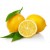 Limon Bonesi / 250 Adet / Bitki Çayı Bonesi