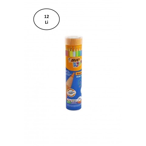 Bic Evolution Kuruboya Metal T12+1 12'li