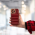 İPHONE 13 PRO MAX RENKLİ SİLİKON TLP PILLOW CASE Renk BORDO